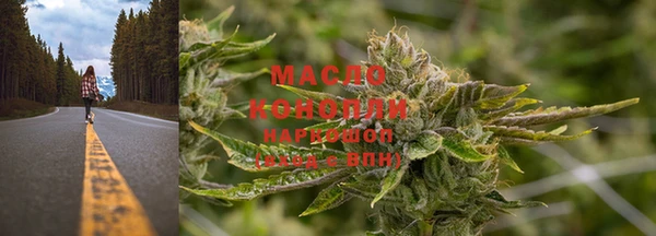 крисы Аркадак
