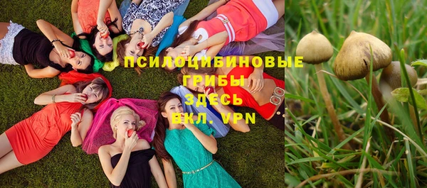 мет Армянск