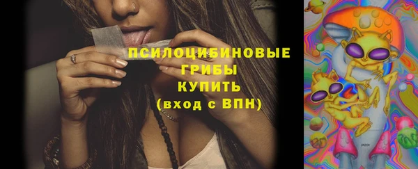 крисы Аркадак