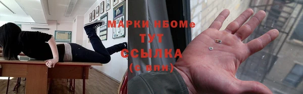 крисы Аркадак
